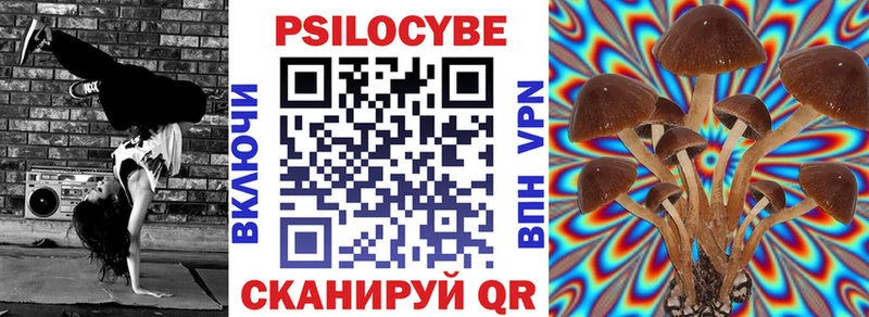 Псилоцибиновые грибы мухоморы  Купить где  Сенгилей 