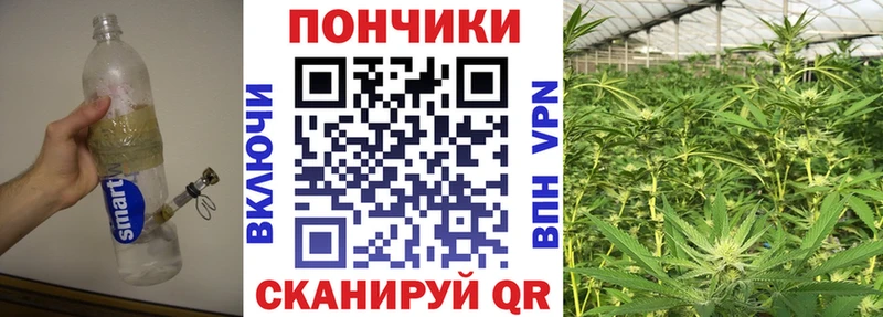 Купить где  Сенгилей  Конопля планчик 